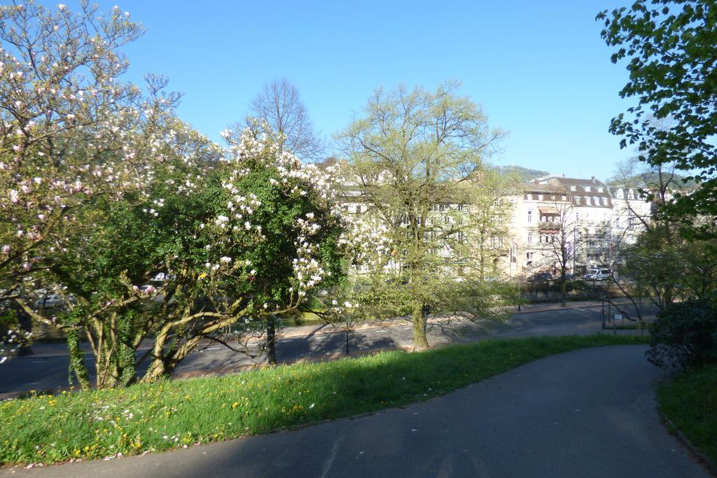 Colibri Apartment Baden-Baden Exterior foto